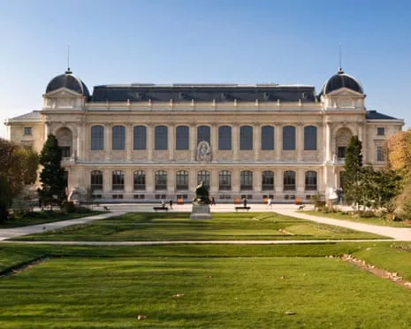 Priceless Golden Pieces Taken in Bold Robbery at France's Natural History Museum